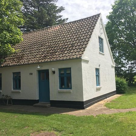 Skovhuset Villa Uggerby Ngoại thất bức ảnh