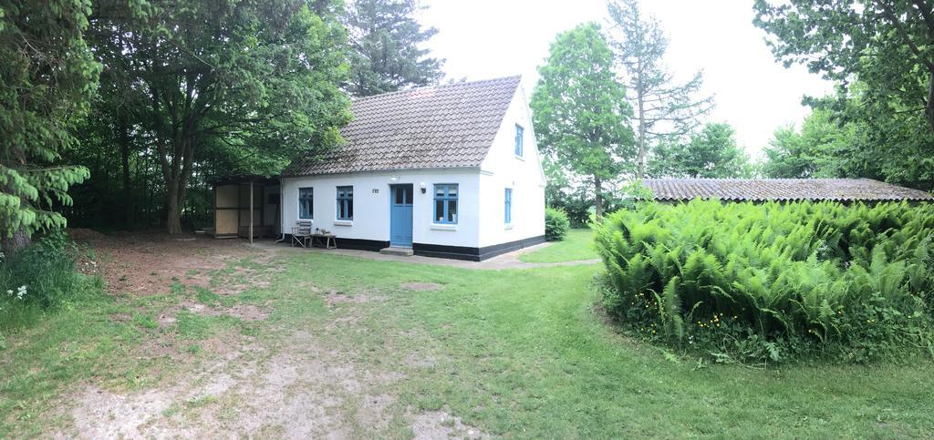 Skovhuset Villa Uggerby Ngoại thất bức ảnh