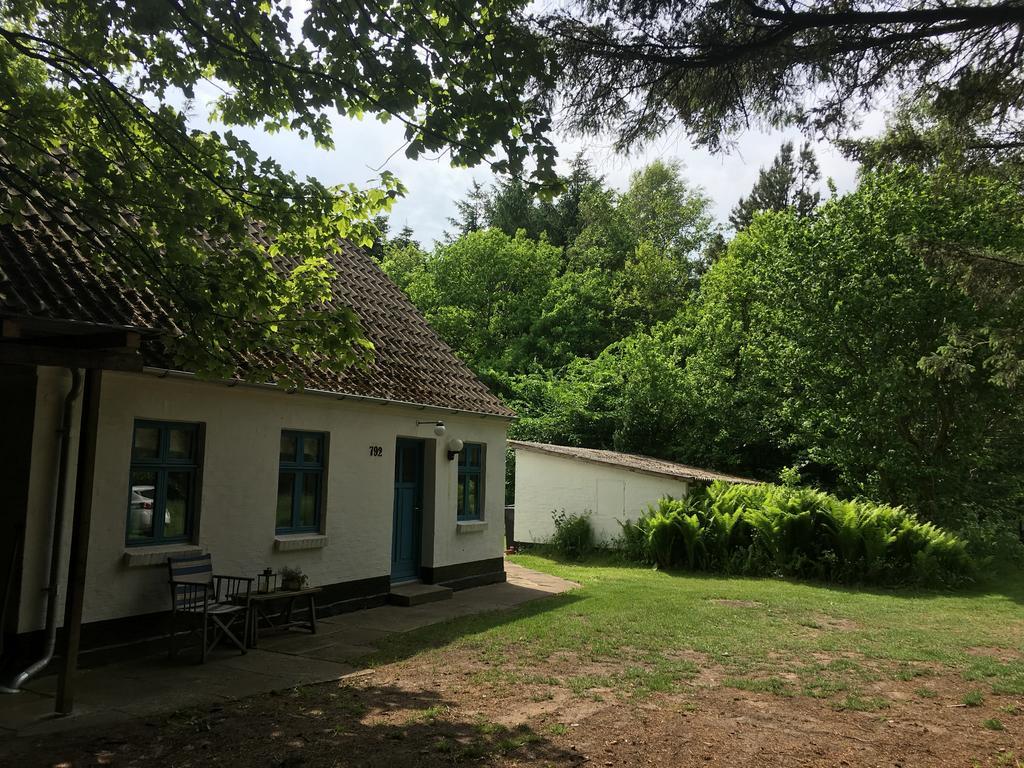 Skovhuset Villa Uggerby Ngoại thất bức ảnh